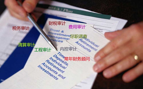 技術(shù)服務(wù)費計入什么會計科目,技術(shù)服務(wù)費屬于什么會計科目,信息技術(shù)服務(wù)費計入什么會計科目