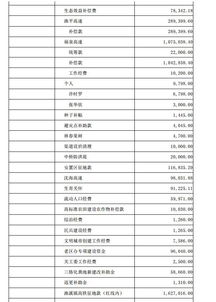 會計科目建立的順序,村級財務核算會計科目,村級會計科目明細表