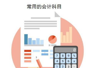 會計(jì)科目,業(yè)務(wù),經(jīng)濟(jì)