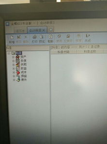 從模版中引入會(huì)計(jì)科目