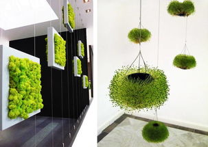 大堂綠植會(huì)計(jì)科目