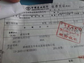 會計(jì)科目,詢證函