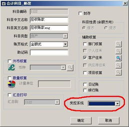 t6會計科目受控