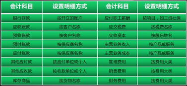 核算,專項,會計科目,設(shè)置