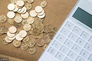 收入和費用屬于什么會計科目,服務(wù)收入屬于什么會計科目,租金收入屬于什么會計科目