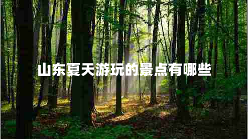 山東夏天游玩的景點(diǎn)有哪些