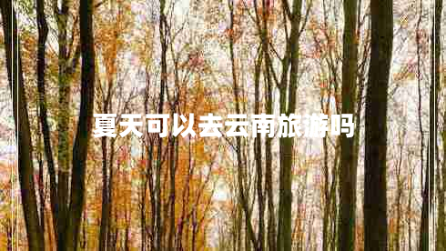 夏天可以去云南旅游嗎 夏天可以去云南旅游嗎