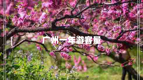 廣州一年游客量 廣州一年游客量