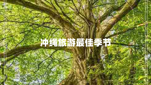 沖繩旅游最佳季節(jié)