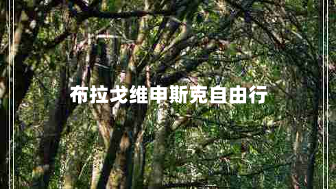 布拉戈維申斯克自由行