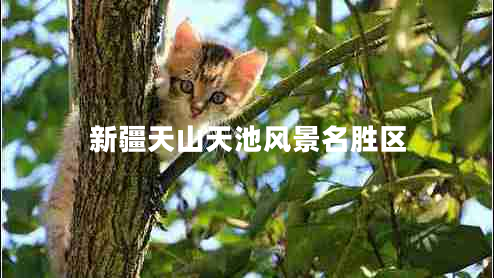 新疆天山天池風(fēng)景名勝區(qū) 新疆天山天池風(fēng)景名勝區(qū)