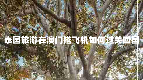 泰國旅游在澳門搭飛機(jī)如何過關(guān)回國 泰國旅游在澳門搭飛機(jī)如何過關(guān)回國