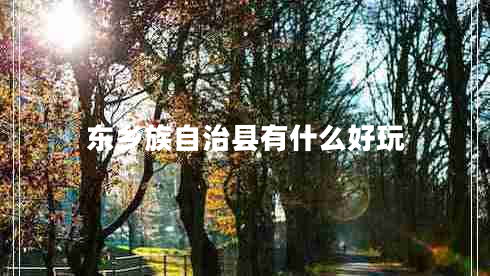 東鄉(xiāng)族自治縣有什么好玩