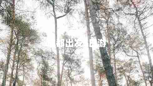 成都出發(fā)5日游 成都出發(fā)5日游