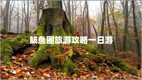 鲅魚圈旅游攻略一日游