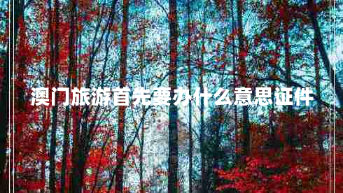 澳門(mén)旅游首先要辦什么意思證件