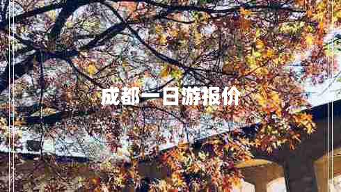 成都一日游報價