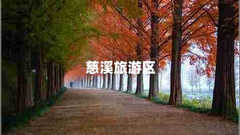 慈溪旅游區(qū) 慈溪旅游區(qū)