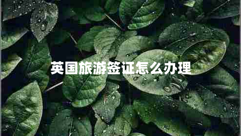 英國(guó)旅游簽證怎么辦理