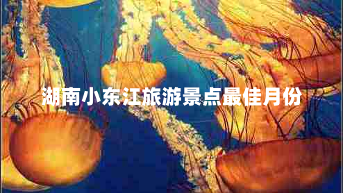 湖南小東江旅游景點(diǎn)最佳月份