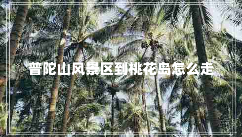 普陀山風景區(qū)到桃花島怎么走 普陀山風景區(qū)到桃花島怎么走