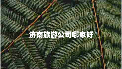 濟(jì)南旅游公司哪家好 濟(jì)南旅游公司哪家好