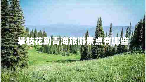 攀枝花到青海旅游景點有哪些 攀枝花到青海旅游景點有哪些