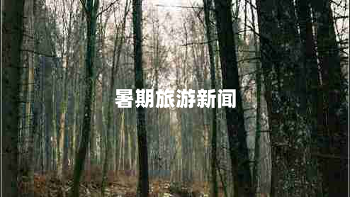 暑期旅游新聞
