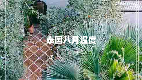 泰國(guó)八月溫度