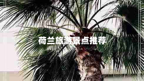 荷蘭旅游景點(diǎn)推薦