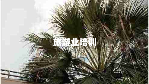 旅游業(yè)培訓 旅游業(yè)培訓