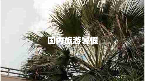 國內(nèi)旅游暑假