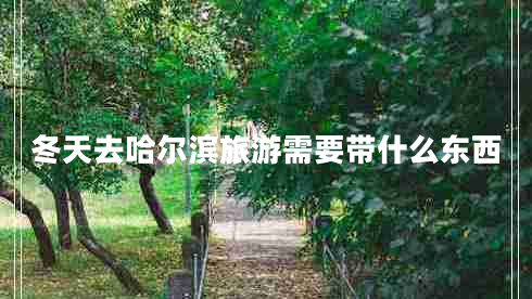 冬天去哈爾濱旅游需要帶什么東西