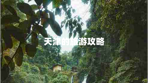 天津的旅游攻略 天津的旅游攻略