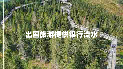 出國旅游提供銀行流水