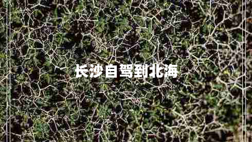 長沙自駕到北海 長沙自駕到北海