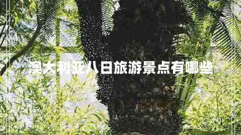 澳大利亞八日旅游景點有哪些