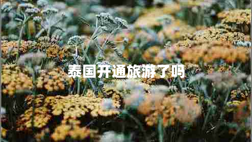 泰國(guó)開(kāi)通旅游了嗎