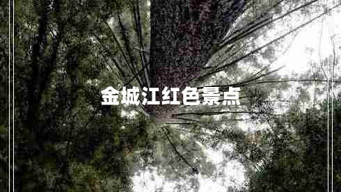 金城江紅色景點(diǎn)