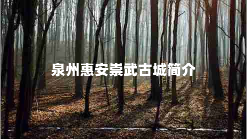 泉州惠安崇武古城簡(jiǎn)介