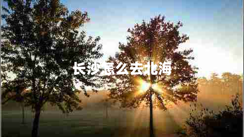 長沙怎么去北海