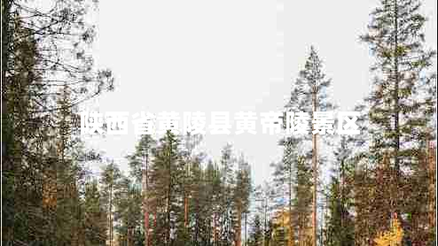 陜西省黃陵縣黃帝陵景區(qū)