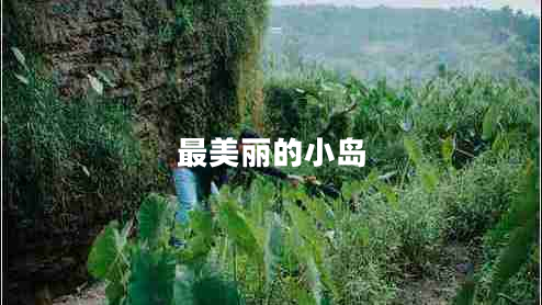 最美麗的小島