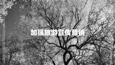加強(qiáng)旅游宣傳營(yíng)銷 加強(qiáng)旅游宣傳營(yíng)銷