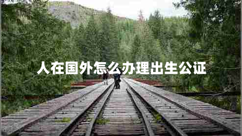 人在國外怎么辦理出生公證