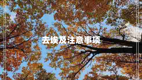 去埃及注意事項