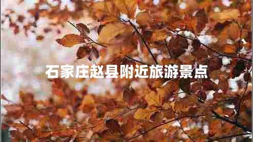 石家莊趙縣附近旅游景點