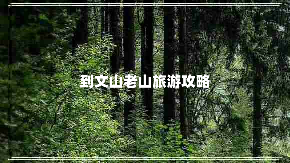 到文山老山旅游攻略