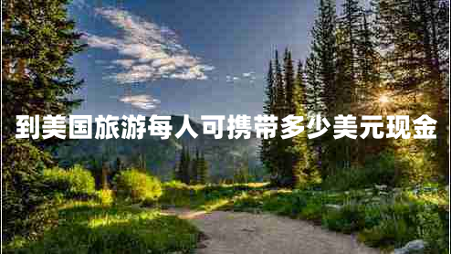 到美國(guó)旅游每人可攜帶多少美元現(xiàn)金