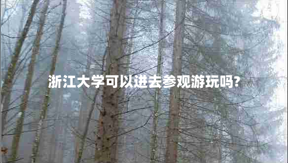 浙江大學可以進去參觀游玩嗎?